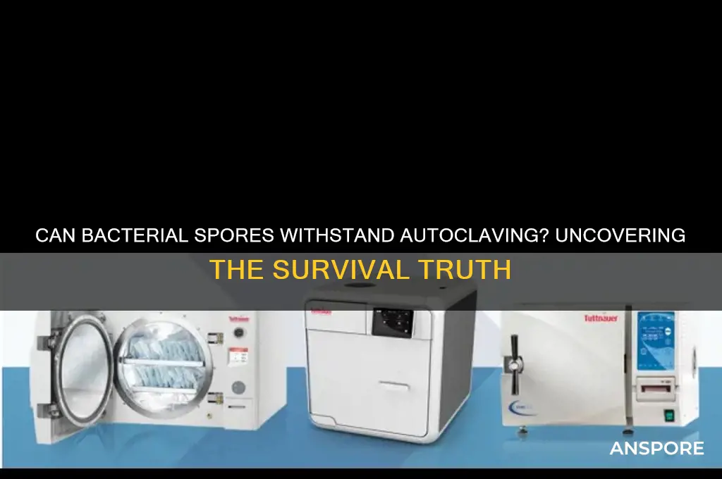 do bacterial spores survive autoclaving