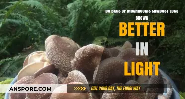 Light's Role in Browning Sawdust Logs for Mushroom Cultivation