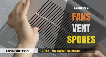 Do Bathroom Fans Spread Mold Spores? Uncovering the Truth