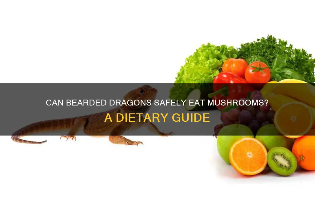 do bearded dragons eat mushrooms