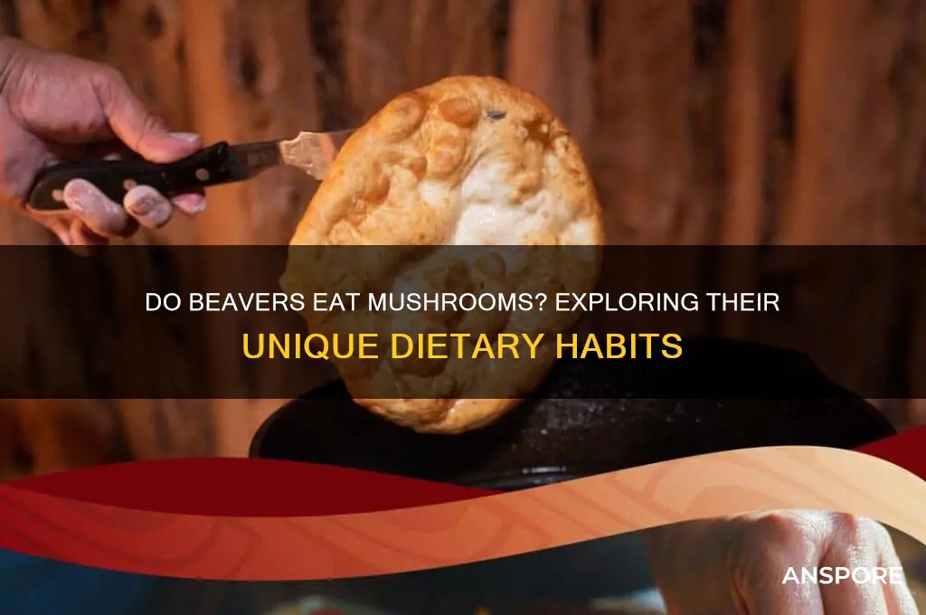 do beavers eat mushrooms