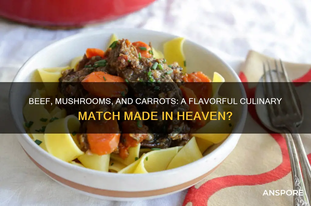 do beef mushrooms and carrots go together