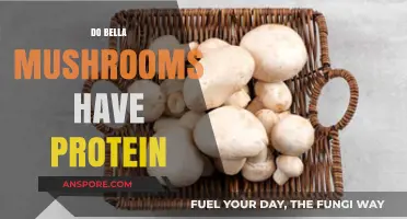 Mushroom Nutrition: Do Bella Mushrooms Pack Protein?