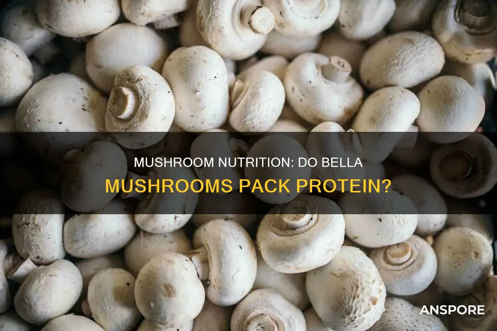 do bella mushrooms have protein