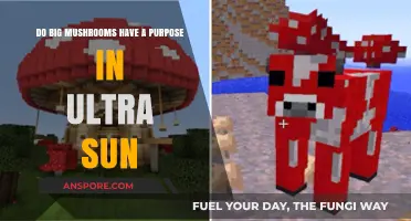 Exploring the Role of Large Mushrooms in Pokémon Ultra Sun