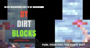 Do Big Mushrooms Need Dirt Blocks to Grow in Minecraft?
