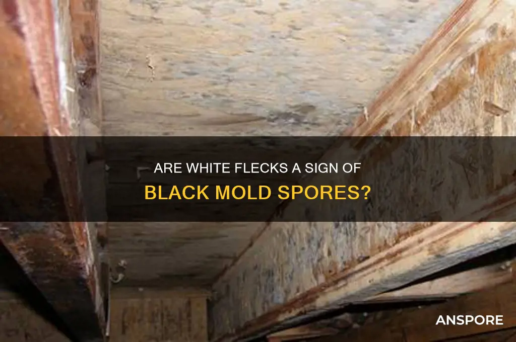do black mold spores exhibit as white flecks