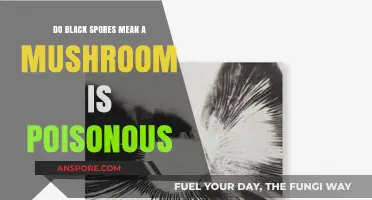 Are Black Spores a Sign of Poisonous Mushrooms? Unveiling the Truth