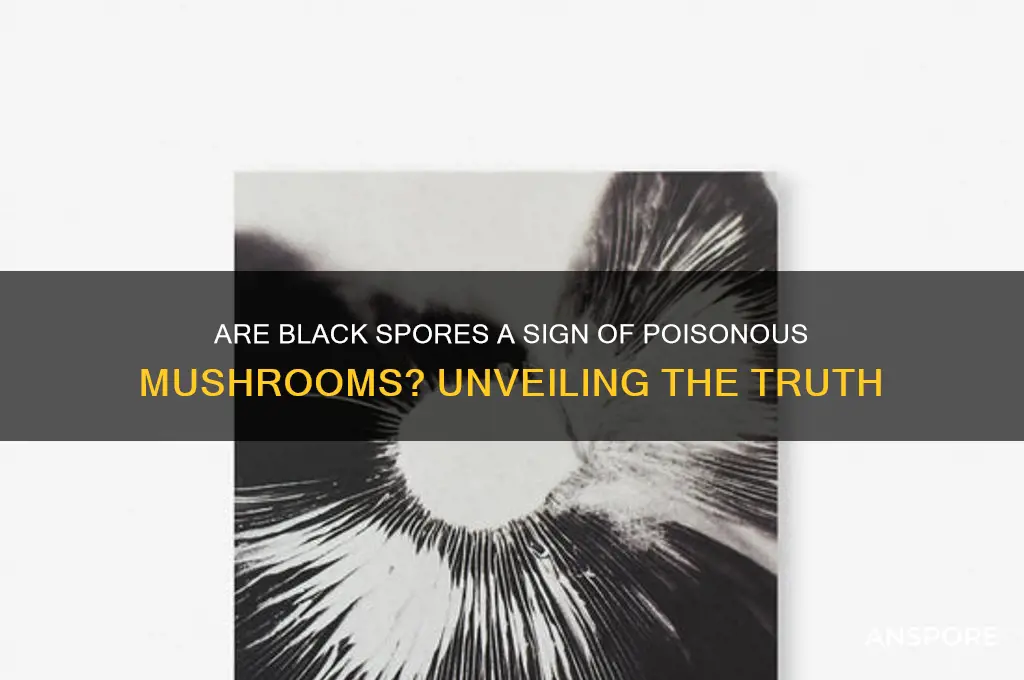 do black spores mean a mushroom is poisonous