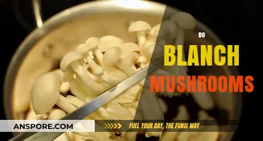 Blanching Mushrooms: The Secret to Perfect Texture