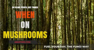 Exploring Psilocybin's Visual Effects on Blind Individuals: Insights and Experiences