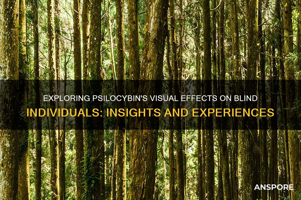 do blind people see things when on mushrooms