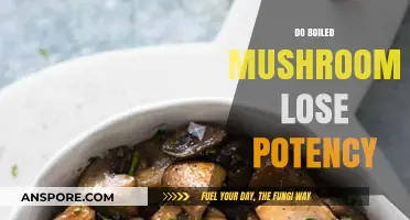 Cooking Mushrooms: Do Boiled Mushrooms Lose Their Potency?