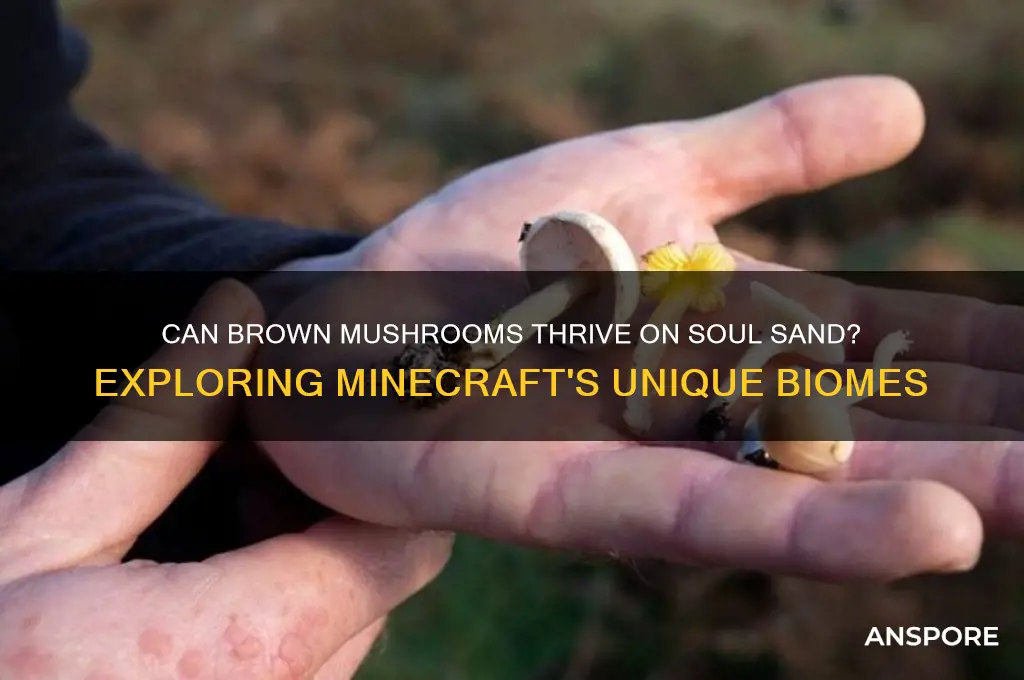 do brown mushrooms grow on soul sand
