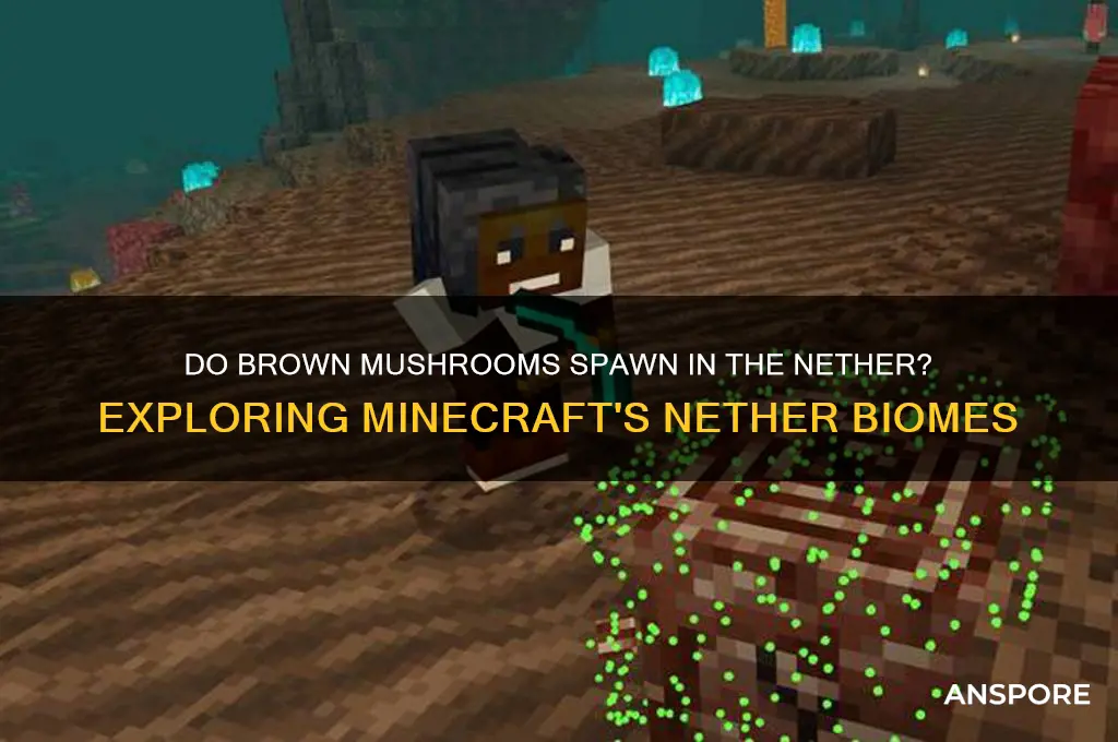 do brown mushrooms spawn in the nether