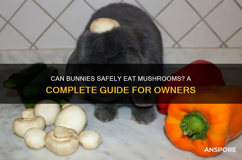 do bunnies eat mushrooms