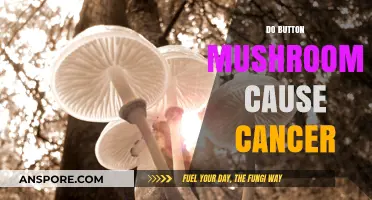 Button Mushrooms: Cancer Causers or Not?
