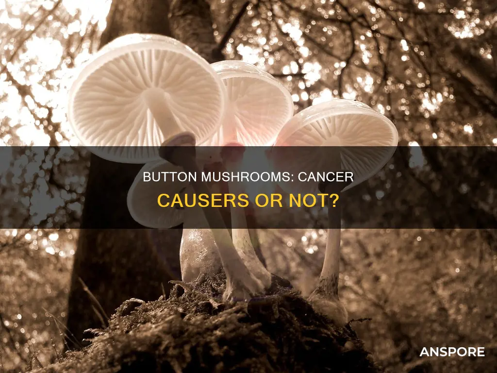 do button mushrooms cause cancer