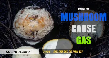 Button Mushrooms: Gas and Bloating?