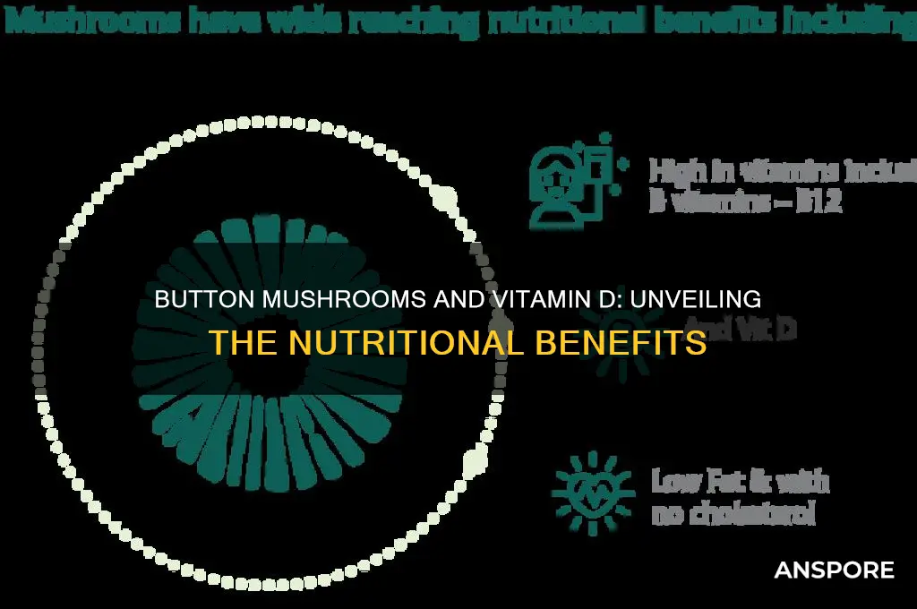 do button mushrooms contain vitamin d