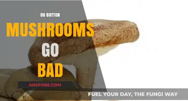 Do Button Mushrooms Go Bad? Shelf Life and Storage Tips