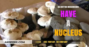 Do Button Mushrooms Have a Nucleus? Unveiling the Truth