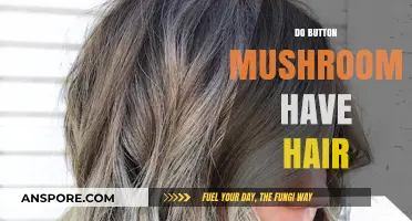 Button Mushrooms: Hairy or Bald?