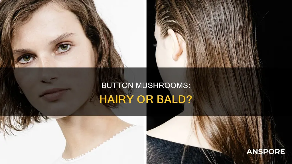 do button mushrooms have hair