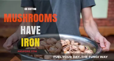 Mushrooms: A Rich Source of Iron?