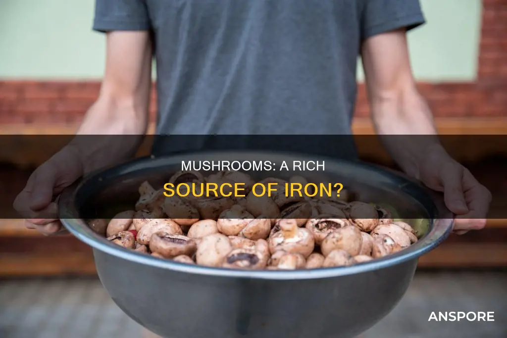 do button mushrooms have iron