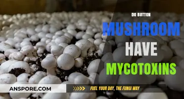 Button Mushrooms and Mycotoxins: What's the Truth?