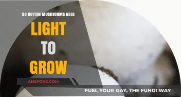 Do Button Mushrooms Need Light to Grow? The Truth Revealed