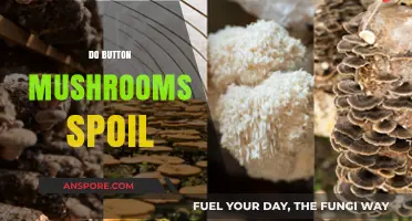 Button Mushrooms: Do They Spoil?