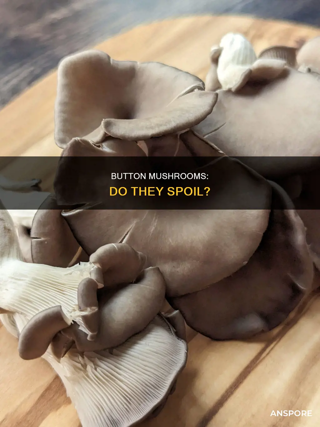do button mushrooms spoil