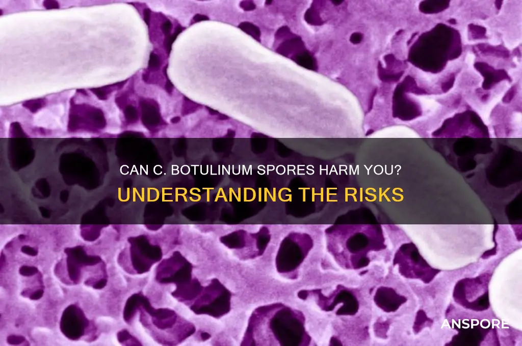 do c botulinum spores hurt me