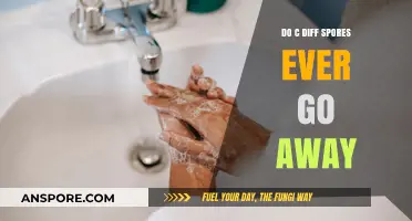 Can C. Diff Spores Be Eliminated Permanently? Expert Insights Revealed