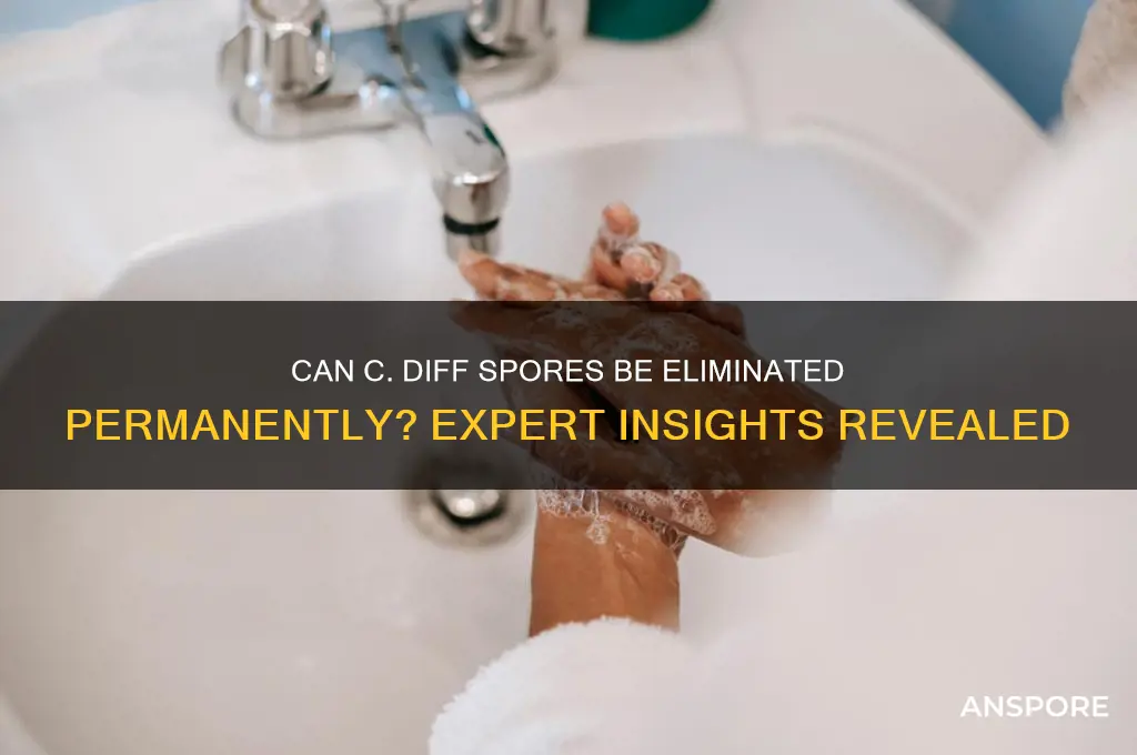 do c diff spores ever go away