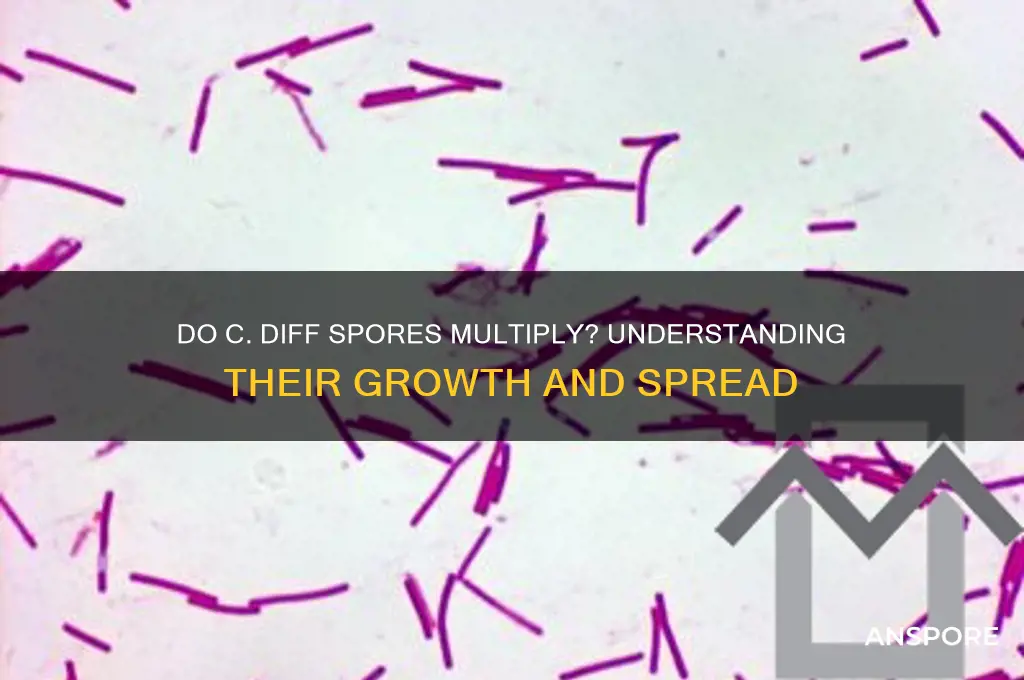 do c diff spores multiply