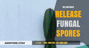 Cacti and Fungi: Unveiling the Mystery of Spores in Desert Plants