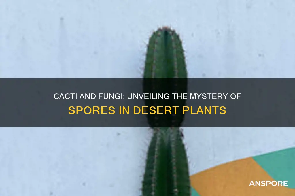 do cactuses release fungal spores