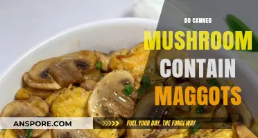 Do Canned Mushrooms Contain Maggots? Uncovering the Truth Behind the Myth
