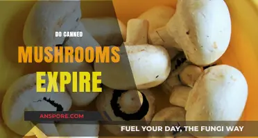 Do Canned Mushrooms Expire? Shelf Life and Storage Tips