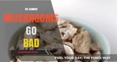 Do Canned Mushrooms Go Bad? Shelf Life and Storage Tips