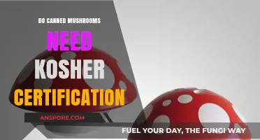 Are Canned Mushrooms Kosher? Certification Requirements Explained