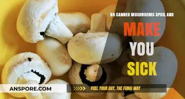 Can Canned Mushrooms Go Bad? Risks and Shelf Life Explained