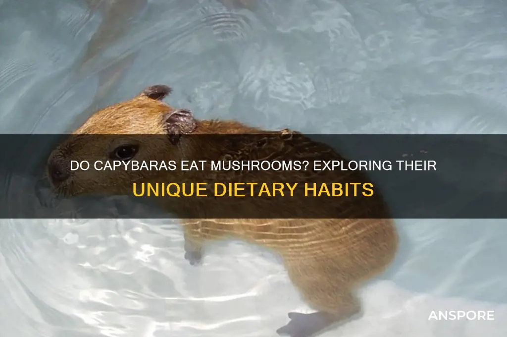 do capybaras eat mushrooms