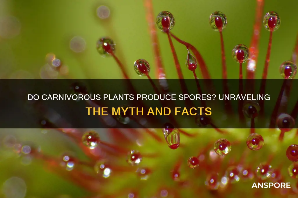 do carnifors produce spores