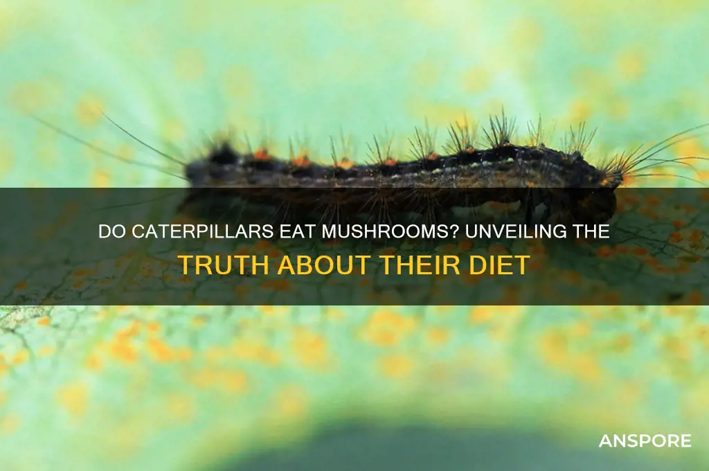 do caterpillars eat mushrooms