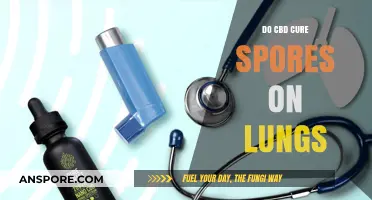Can CBD Treat Lung Spores? Exploring Potential Benefits and Research