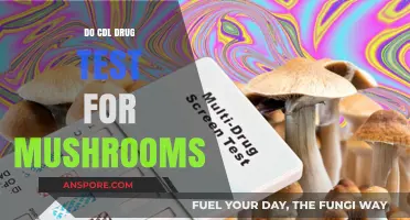 CDL Drug Testing: Do Mushrooms Show Up in Truck Driver Screens?